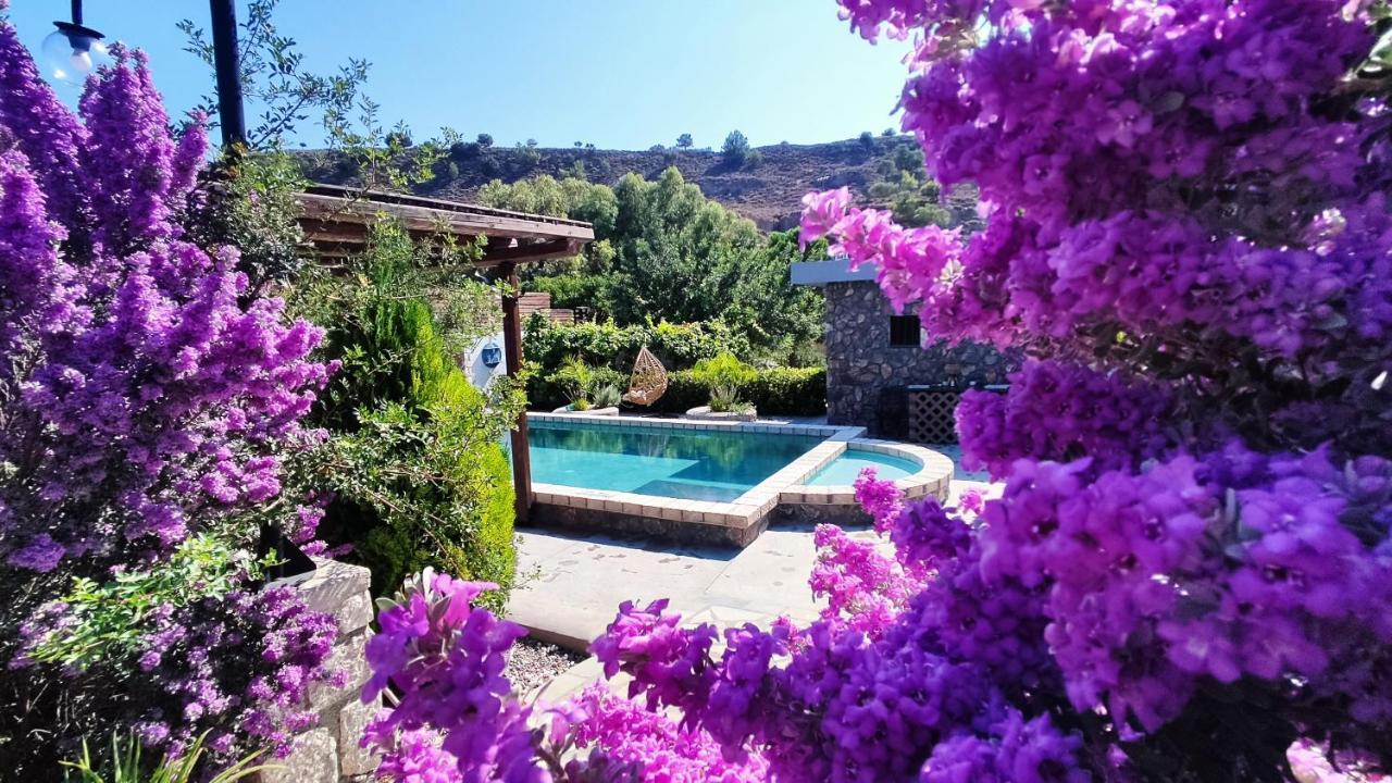 ארכאנגלוס Aithonas Villa מראה חיצוני תמונה