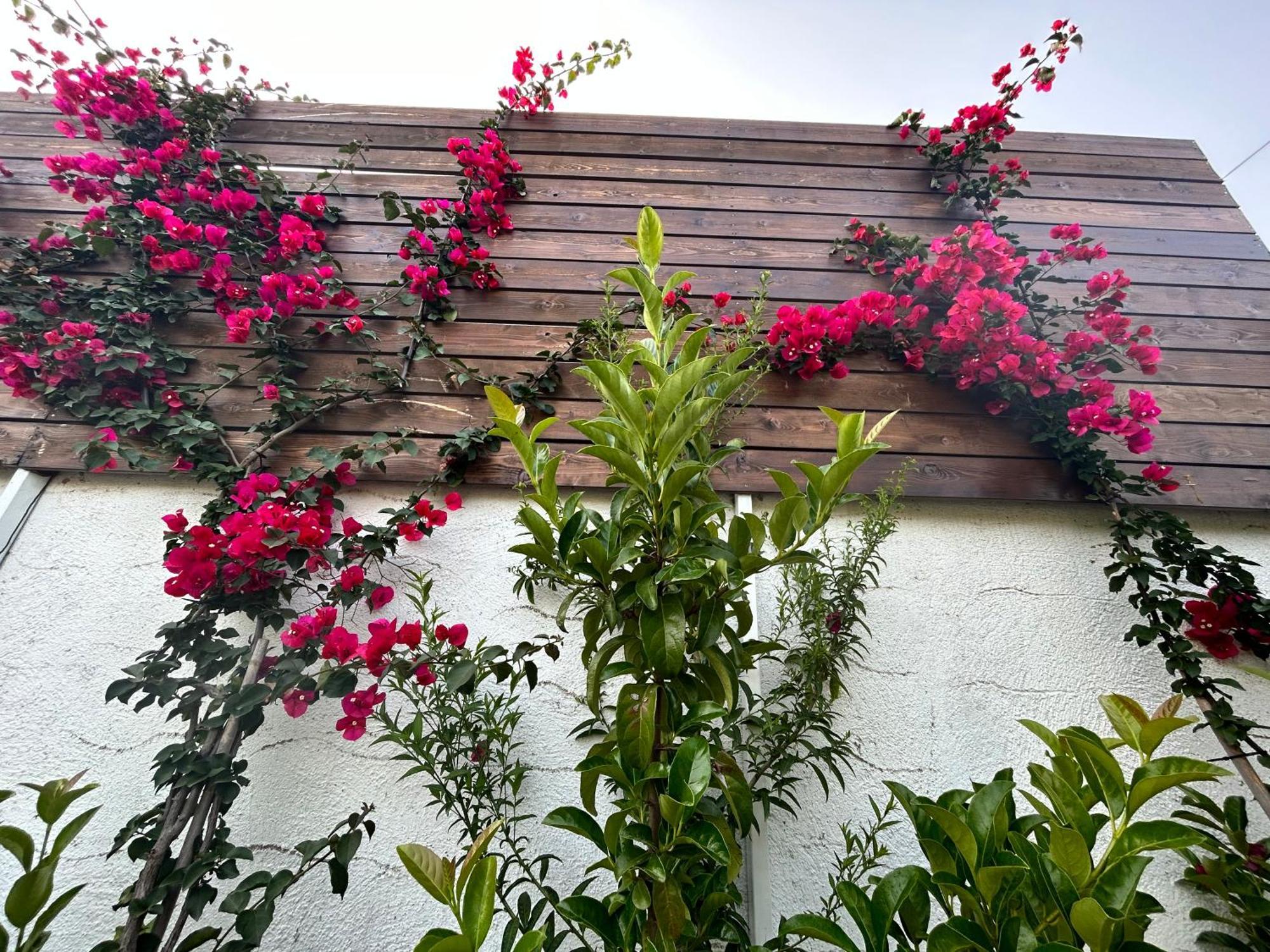 ארכאנגלוס Aithonas Villa חדר תמונה
