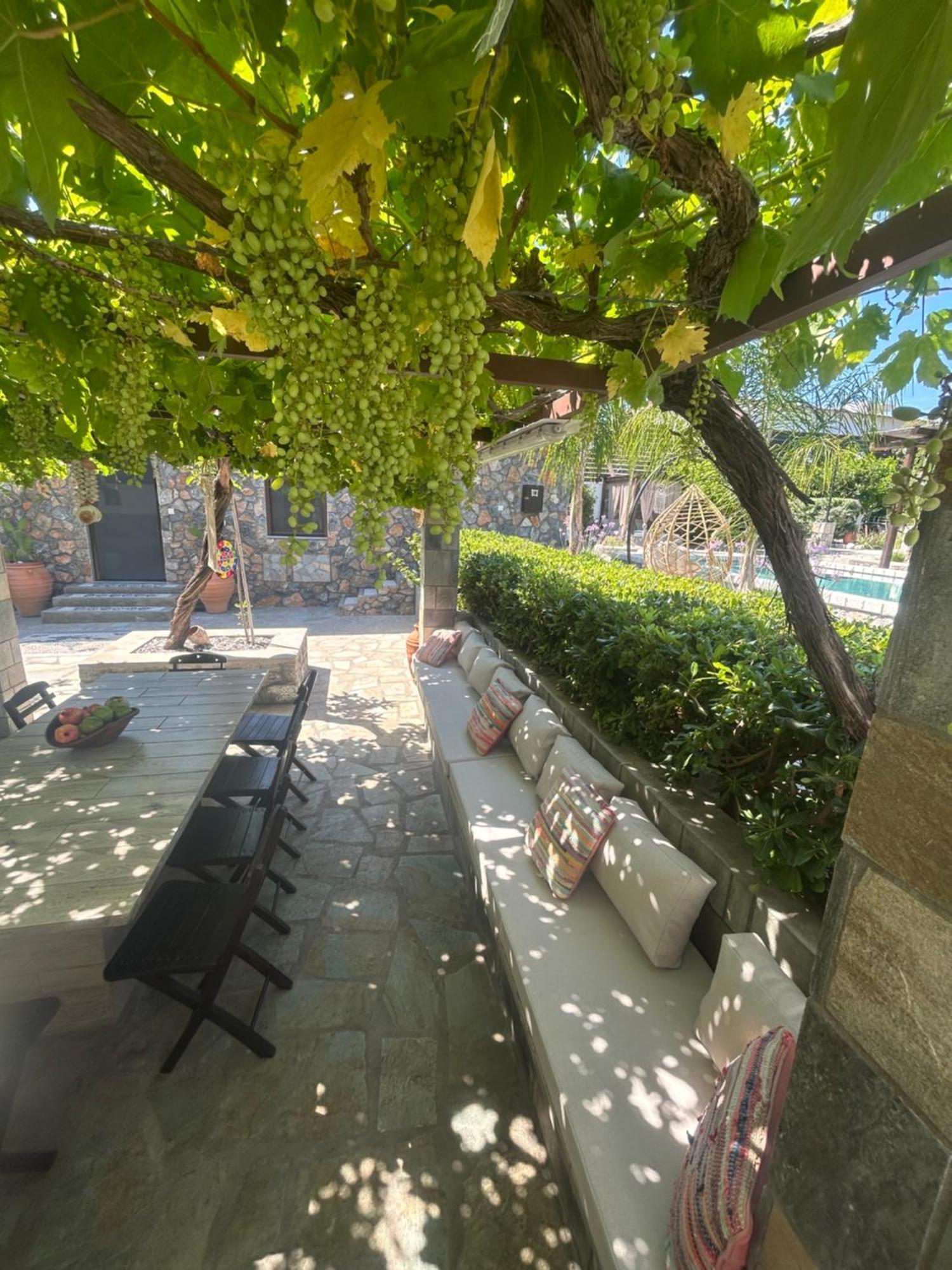 ארכאנגלוס Aithonas Villa מראה חיצוני תמונה